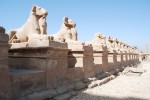 Temple de Karnak. Avinguda de les esfinxs.