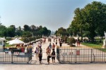 Jardin des Tuileries a 40º