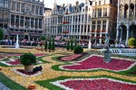 Catifa de flors a la Grand Place
