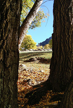 Les gorges du Segre