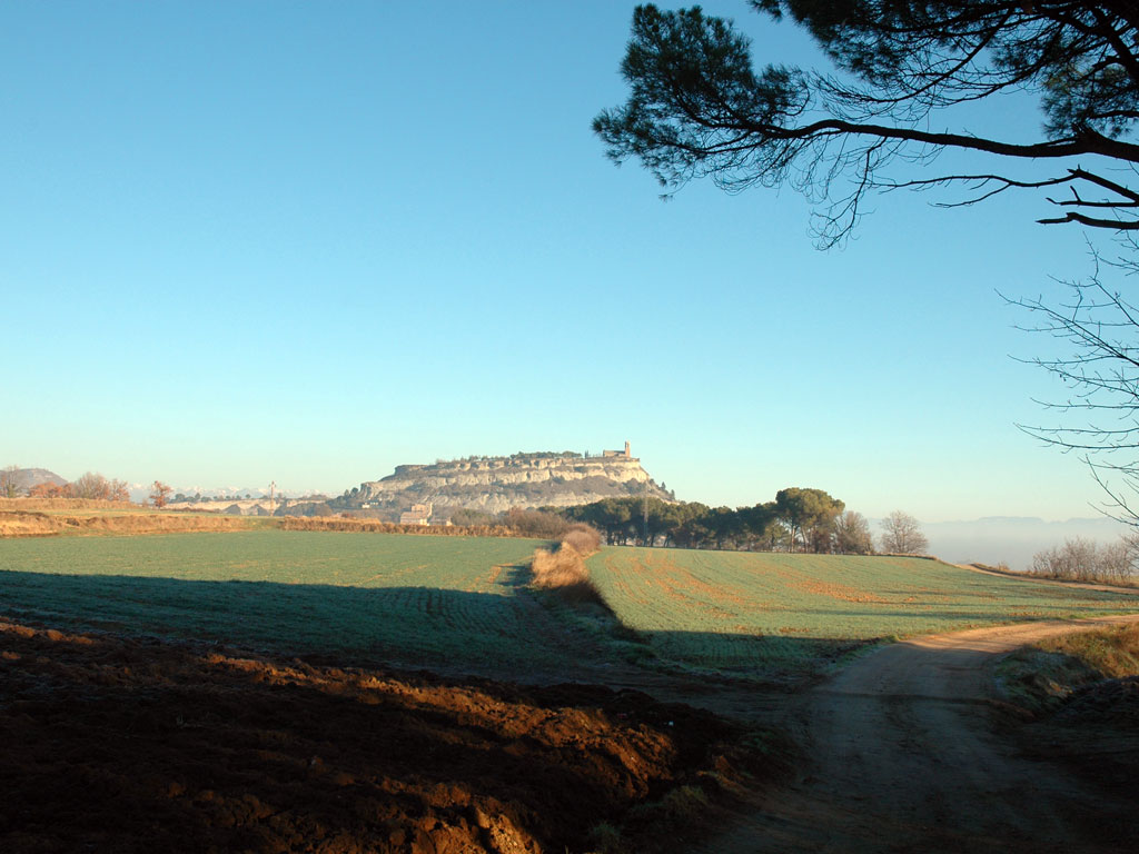 Vista del castell de Tona des dels Pins de Ca l'Agnès